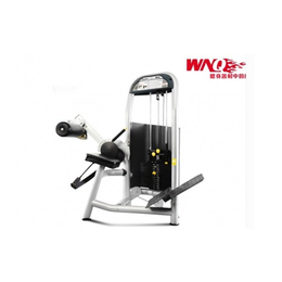 勁道康體設(shè)施(在線咨詢)-健身器材