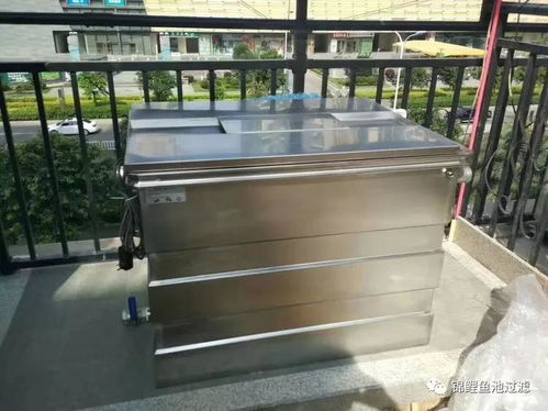 庭院魚池水清魚靚的秘密,選對(duì)過濾系統(tǒng)功不可沒