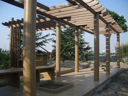 廣州同欣 木塑型材賦能康體設備，引領綠色運動新潮流